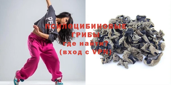 стаф Богородицк