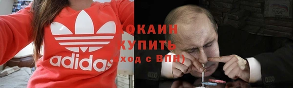 первитин Богданович