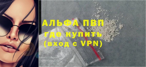 стаф Богородицк