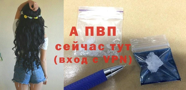 первитин Богданович