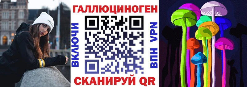 Купить где  Пучеж  Галлюциногенные грибы Psilocybine cubensis 